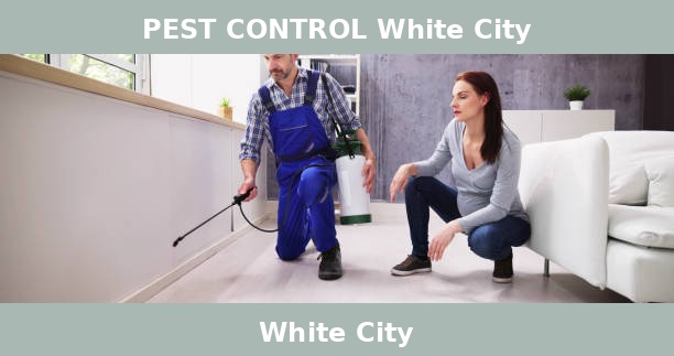 PEST CONTROL White City